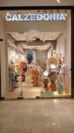 Calzedonia (Liberation Boulevard, 119), haberdashery and accessories shop