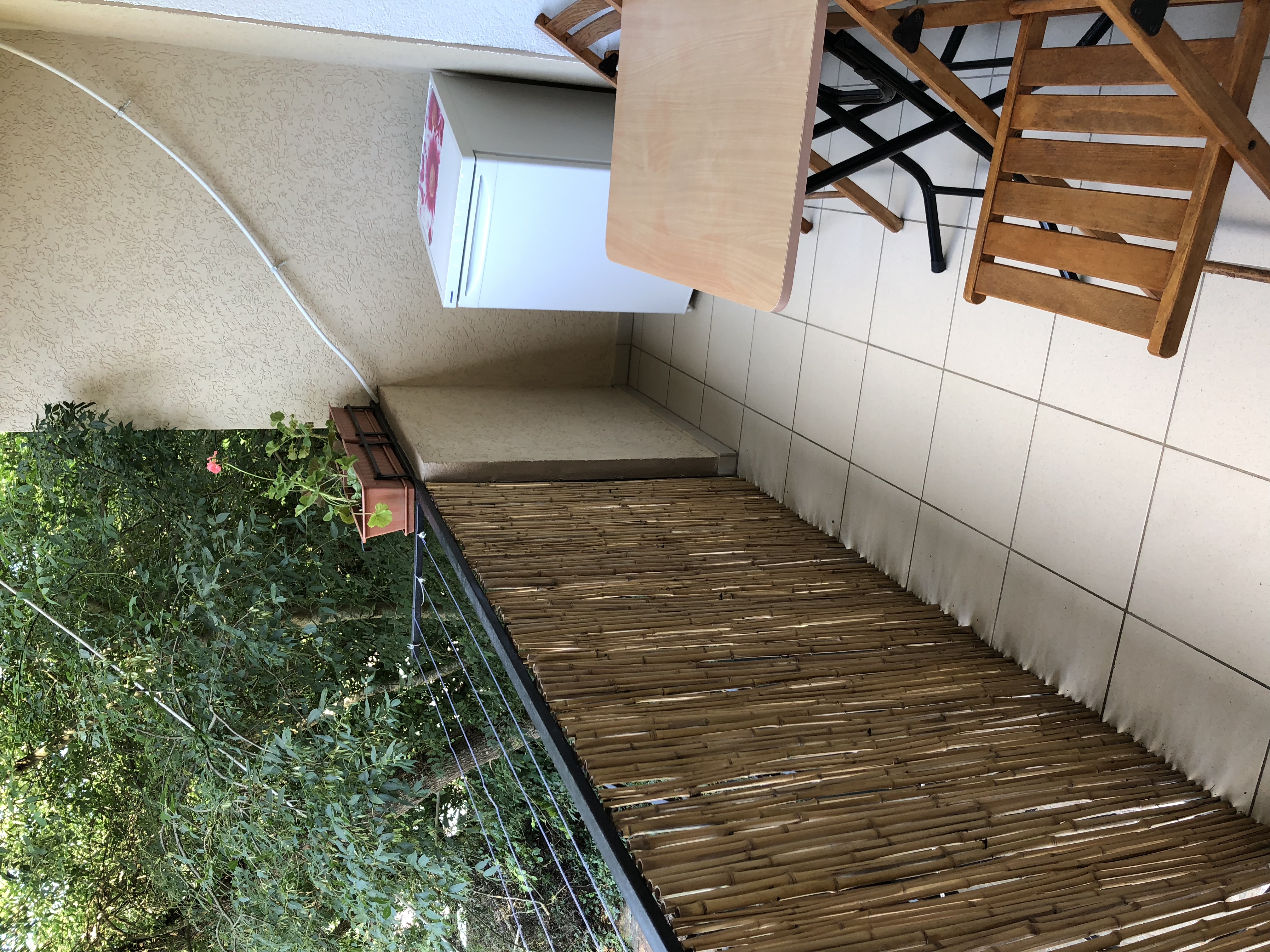 Фото Феерия