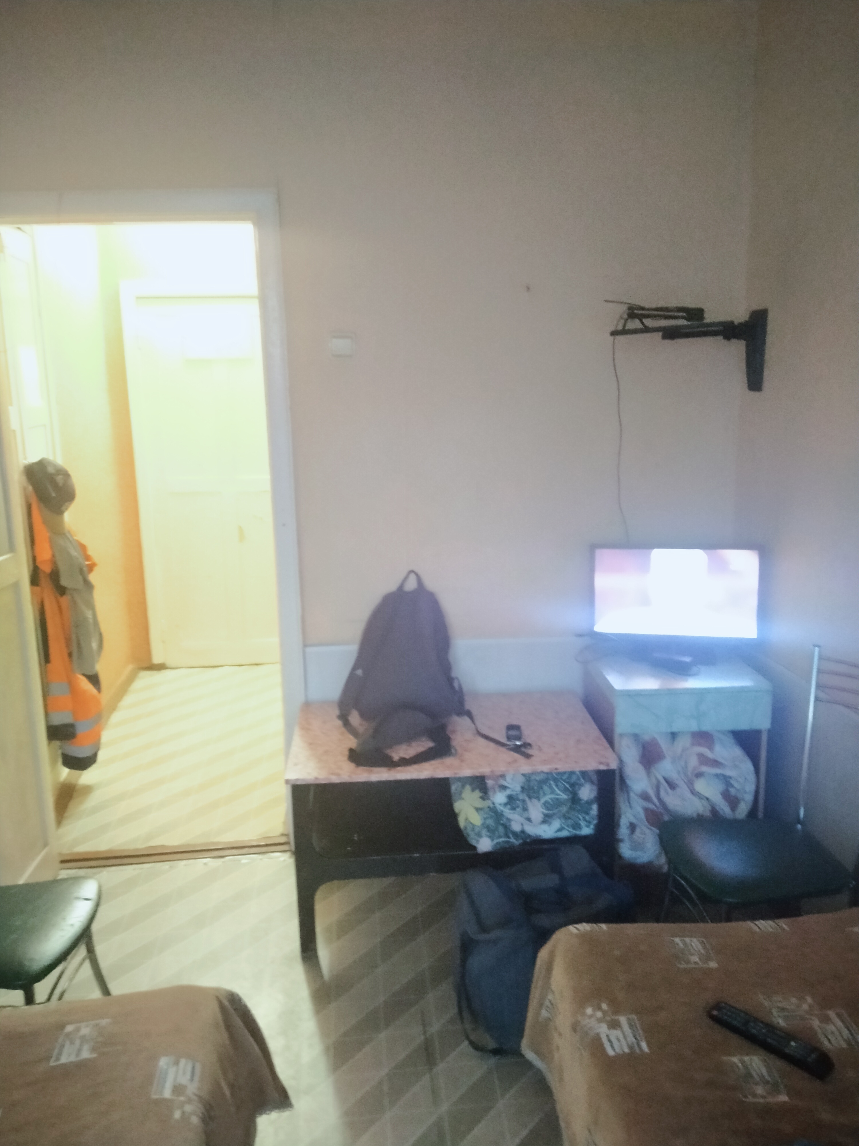 Фото Лазоревая