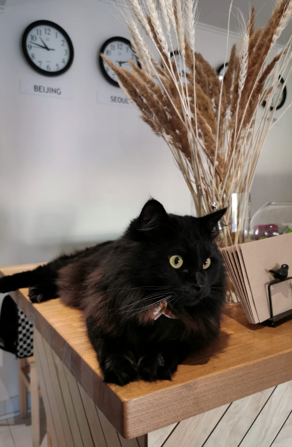 Фото Mina Pos'yet