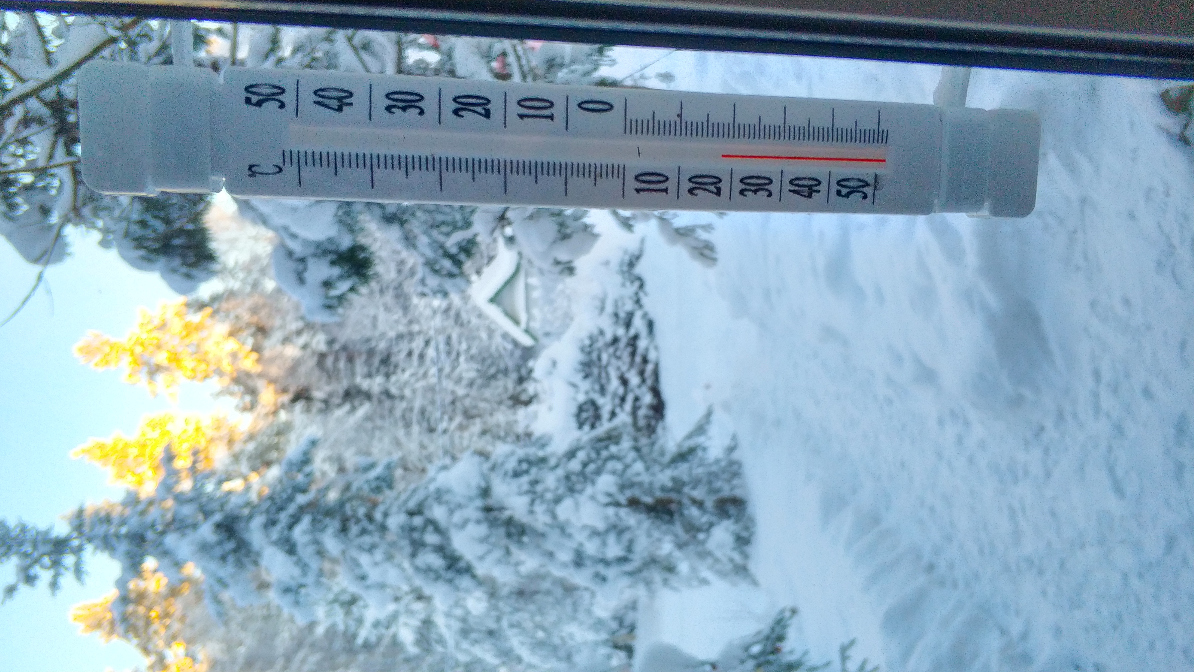 Фото Soroka Home рядом с Игора