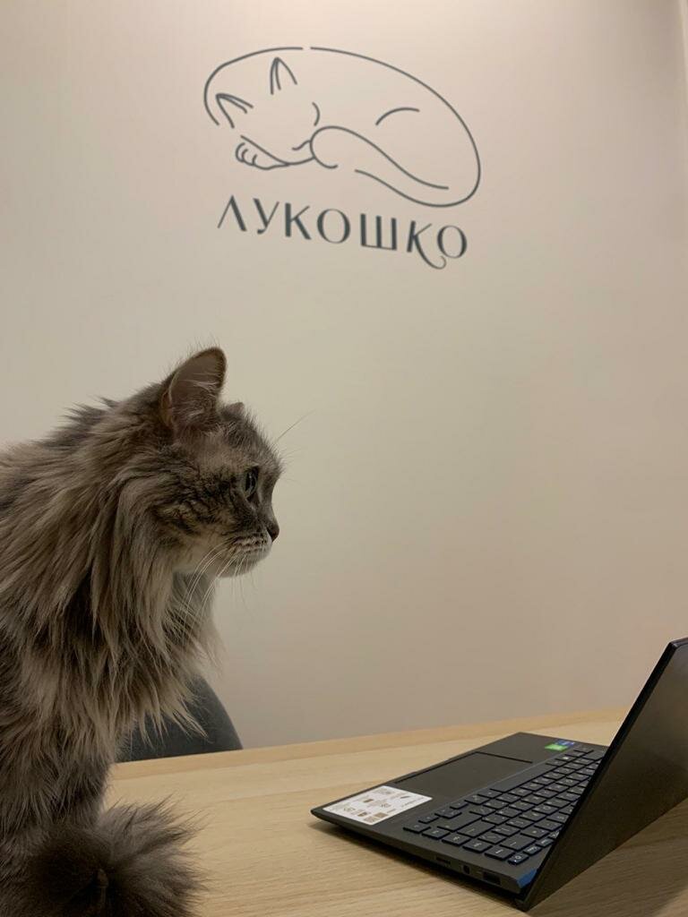 Фото: Лукошко, гостиница для животных, Осташковская ул., 14, стр. 16, Москва - Я