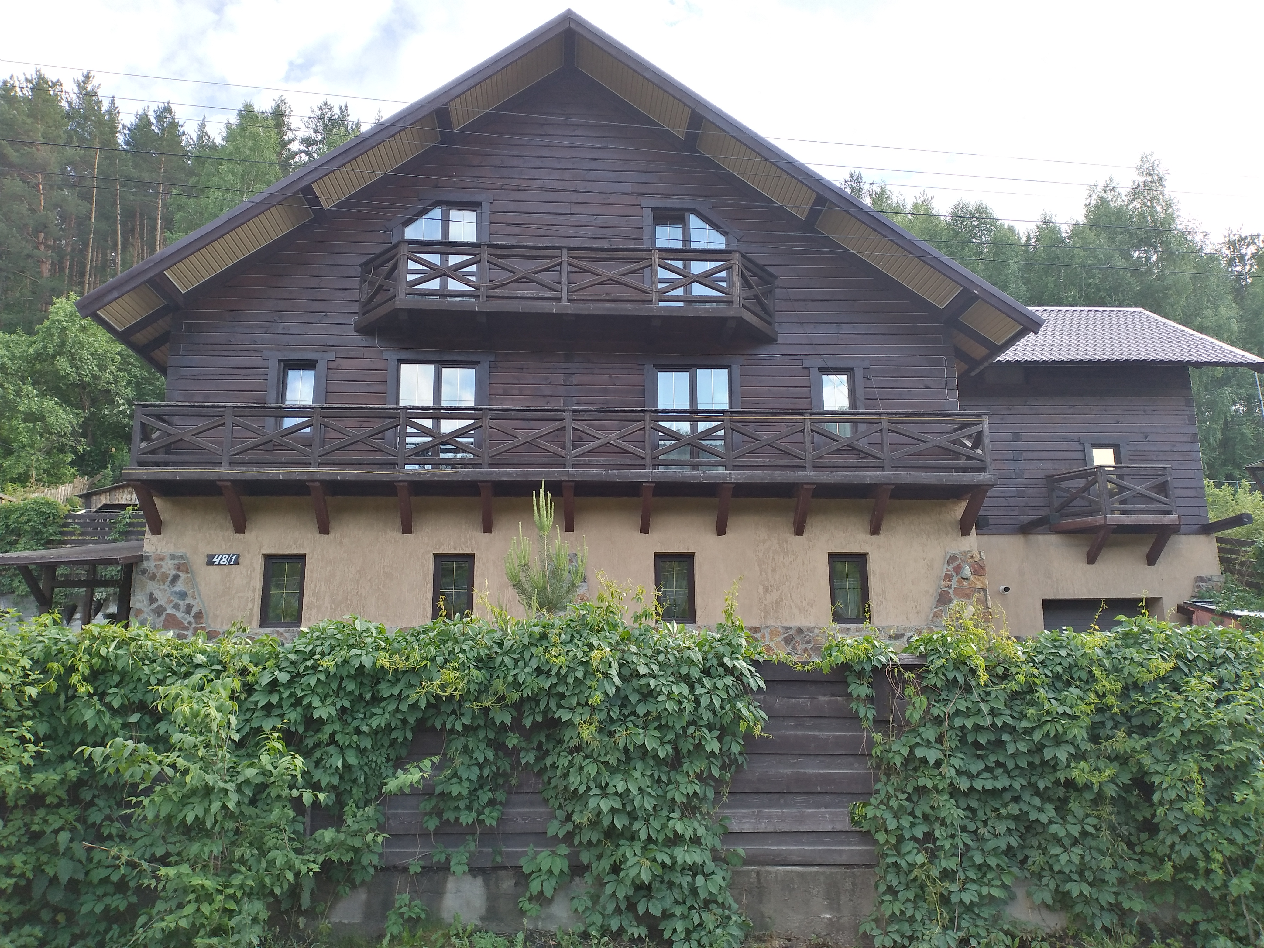 Фото Горная Пчела