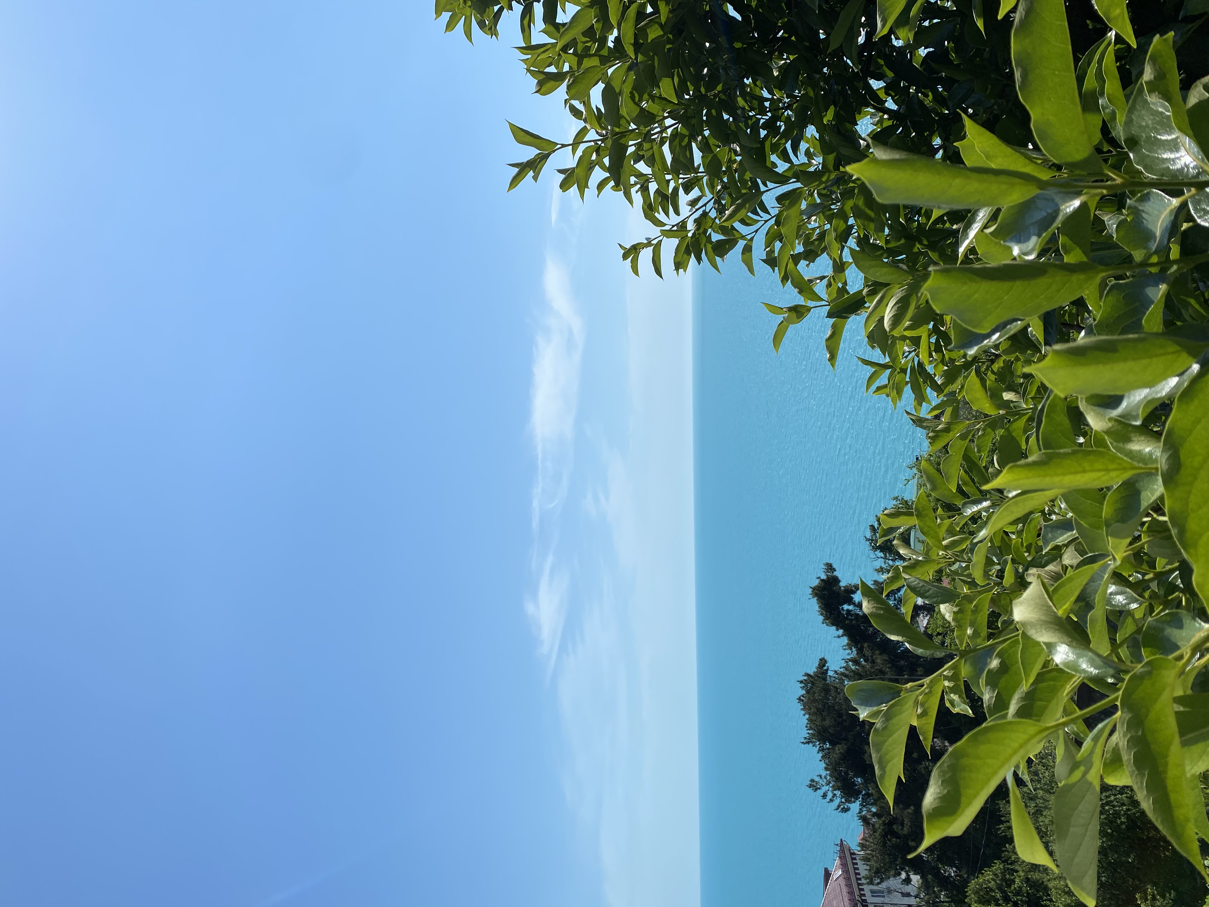 Фото Лазурный