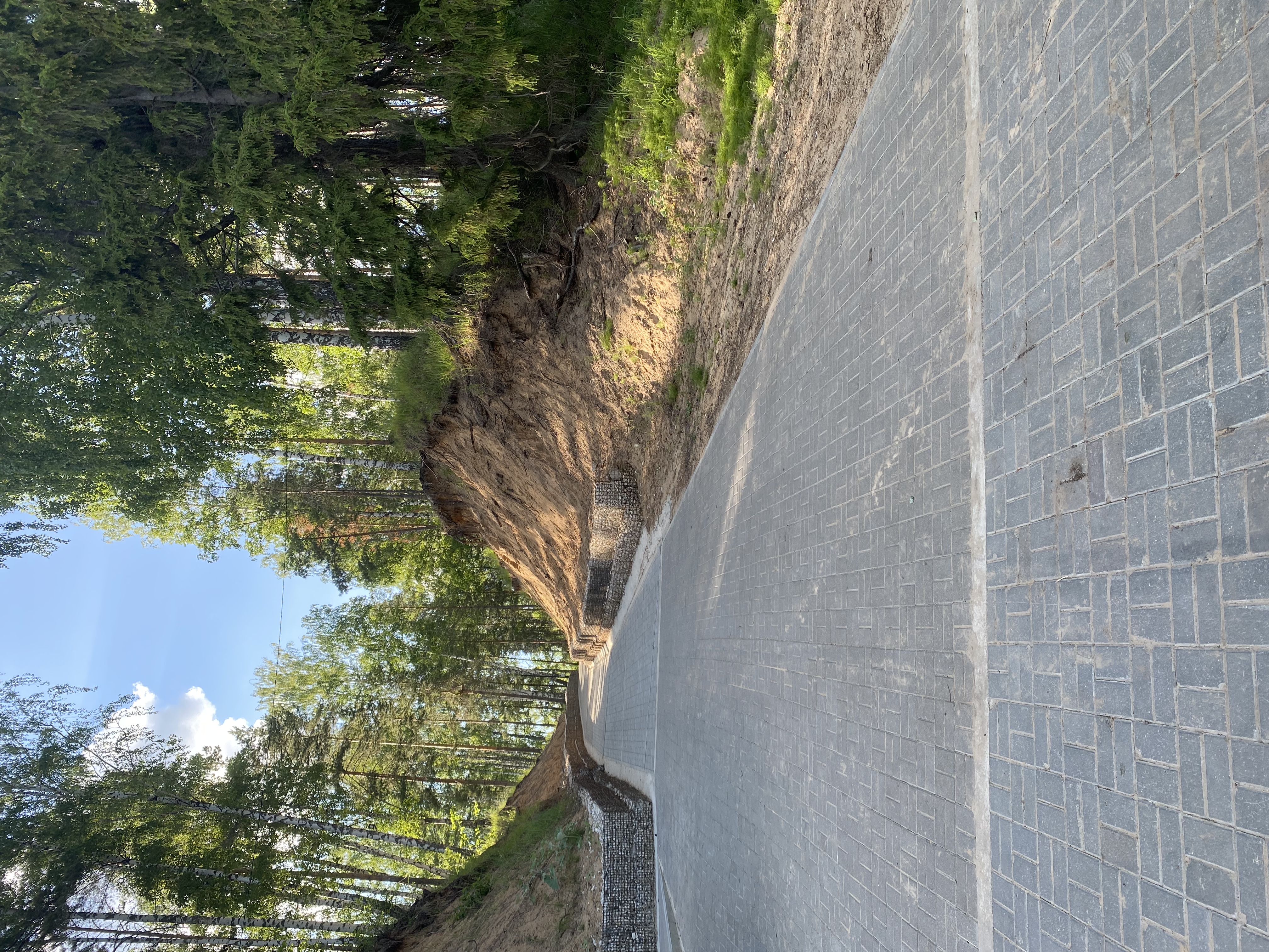 Фото Щукино