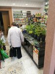 6 Соток (Комсомольская ул., 10/14), магазин семян в Могилёве