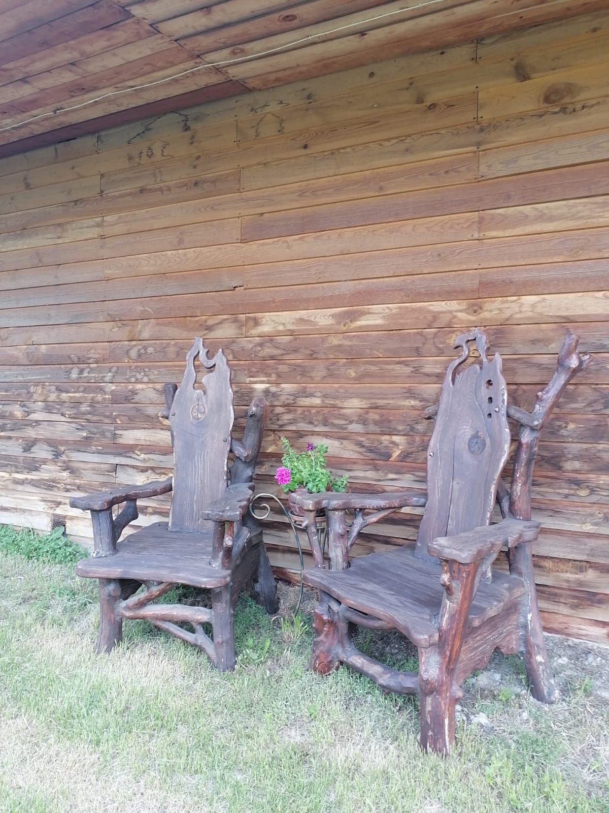 Фото Новые соседи