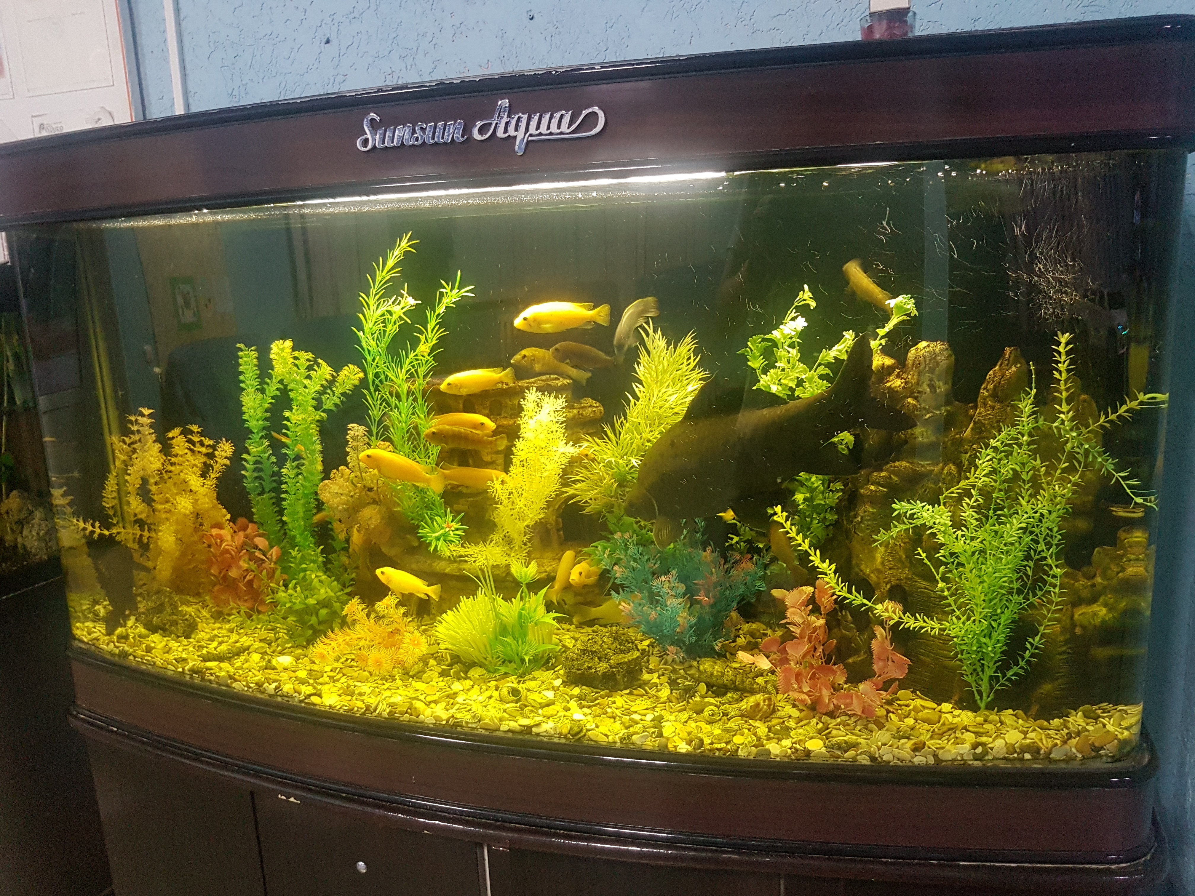 Фото Радуга