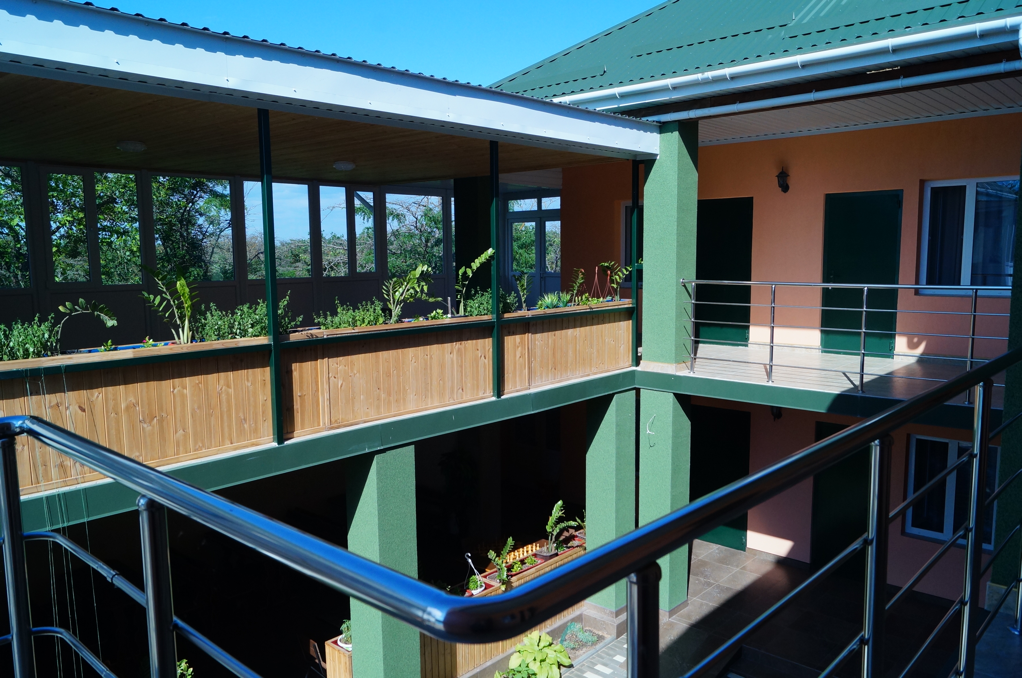 Фото Семицветик