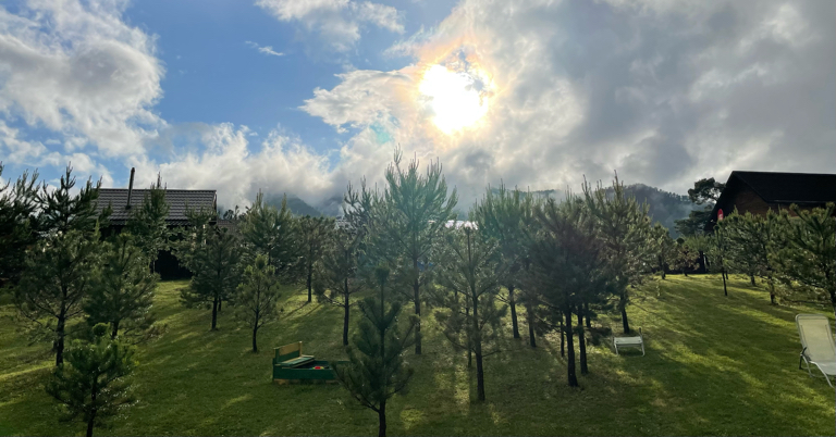 Фото Радость