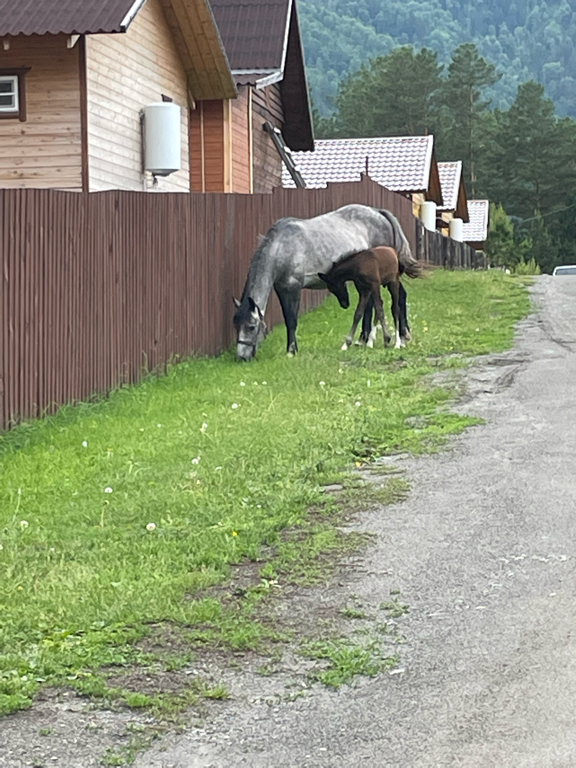 Фото Радость