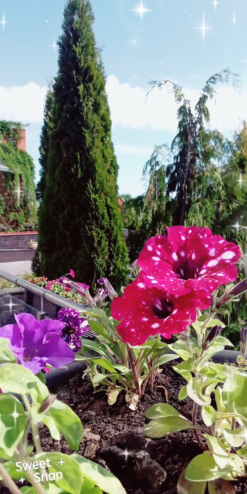 Фото Ярославское подворье