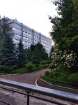 The Russian children's clinical hospital (Leninsky Avenue, 117), children's hospital