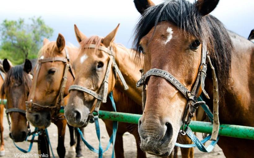 Фото Перевальное Эко Дом