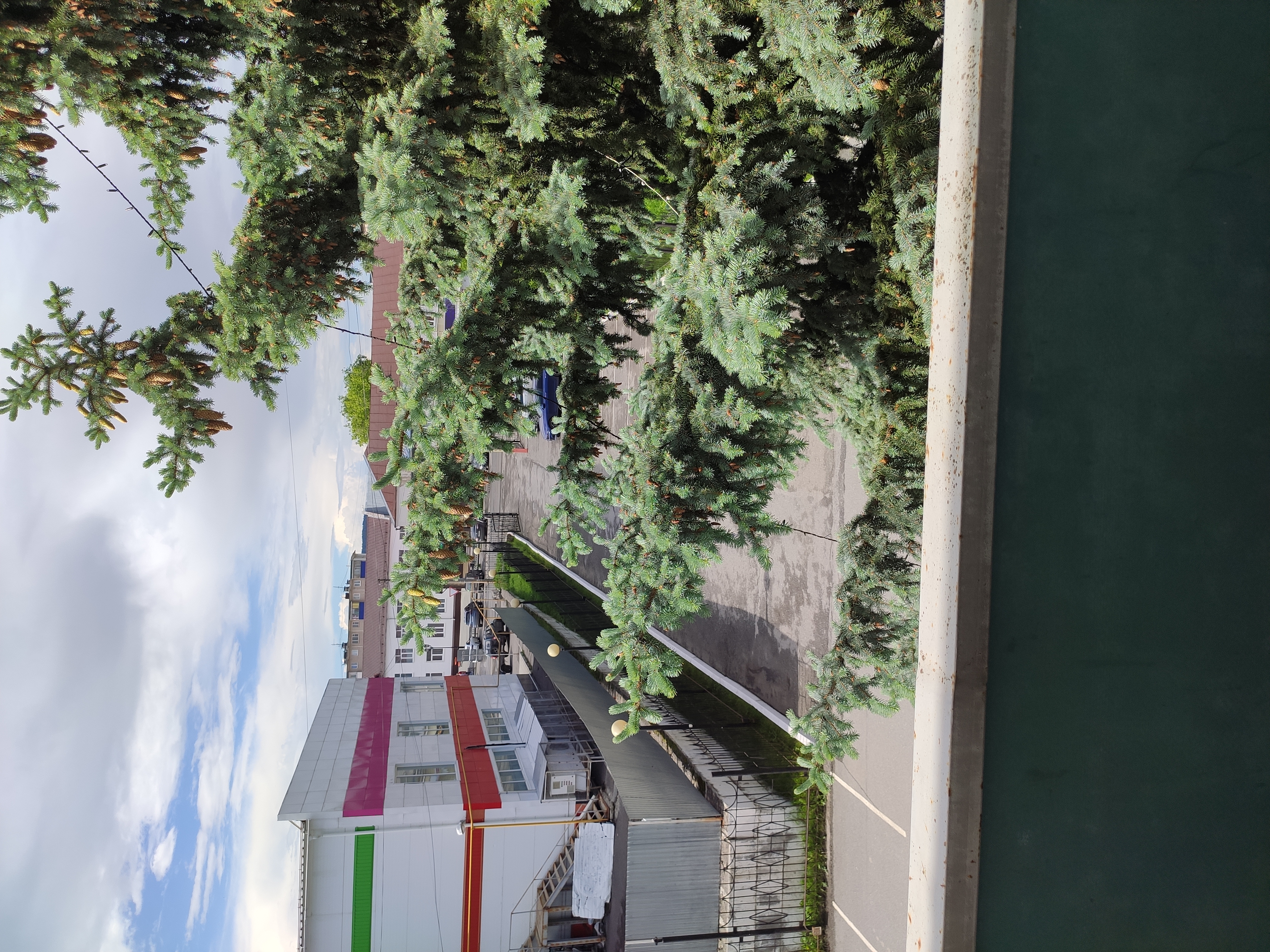 Фото Синегорье