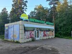 Продукты (posyolok Michurinskoye, Pervomayskaya ulitsa, 15/1) ، محل بقالة