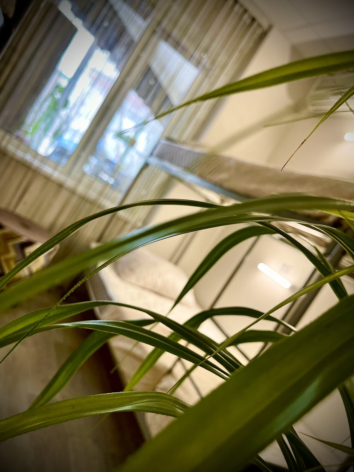 Фото Как Дома