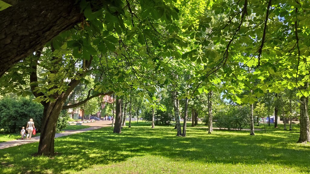 Парк культуры и отдыха Берёзовый сад, Санкт‑Петербург, фото