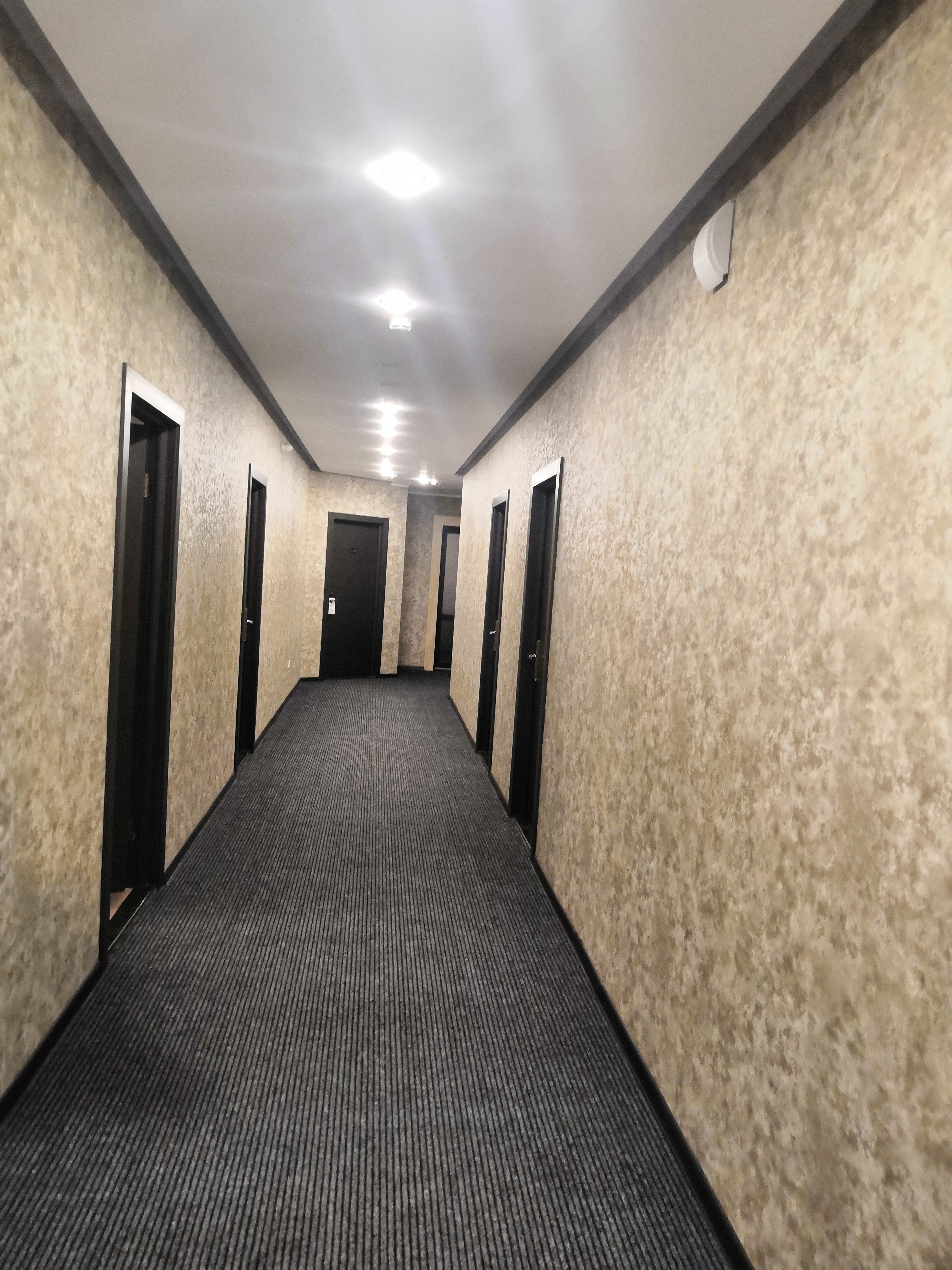 Фото Абсолют