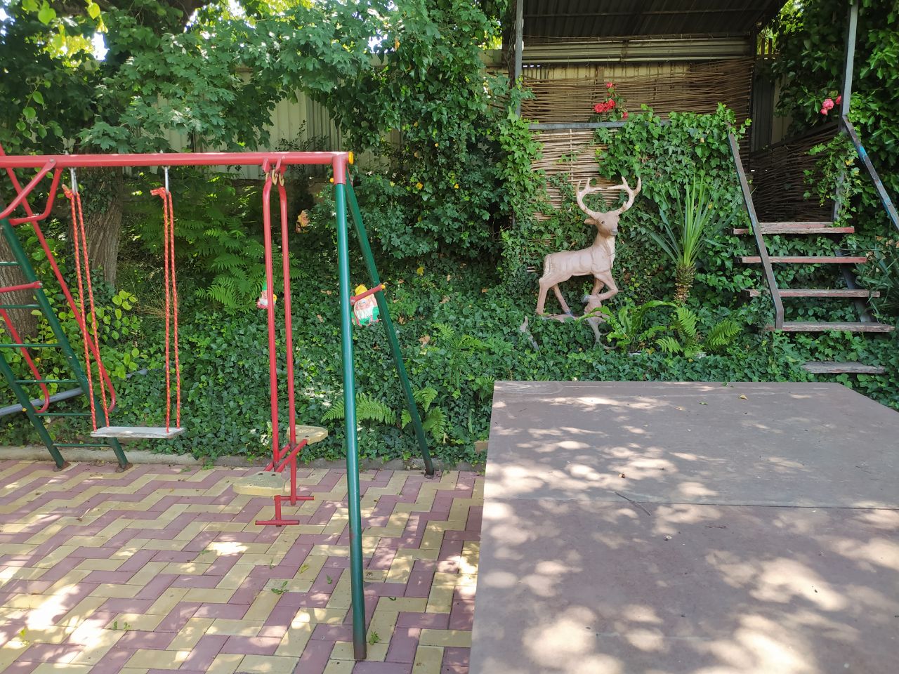 Фото Черноморская лоза