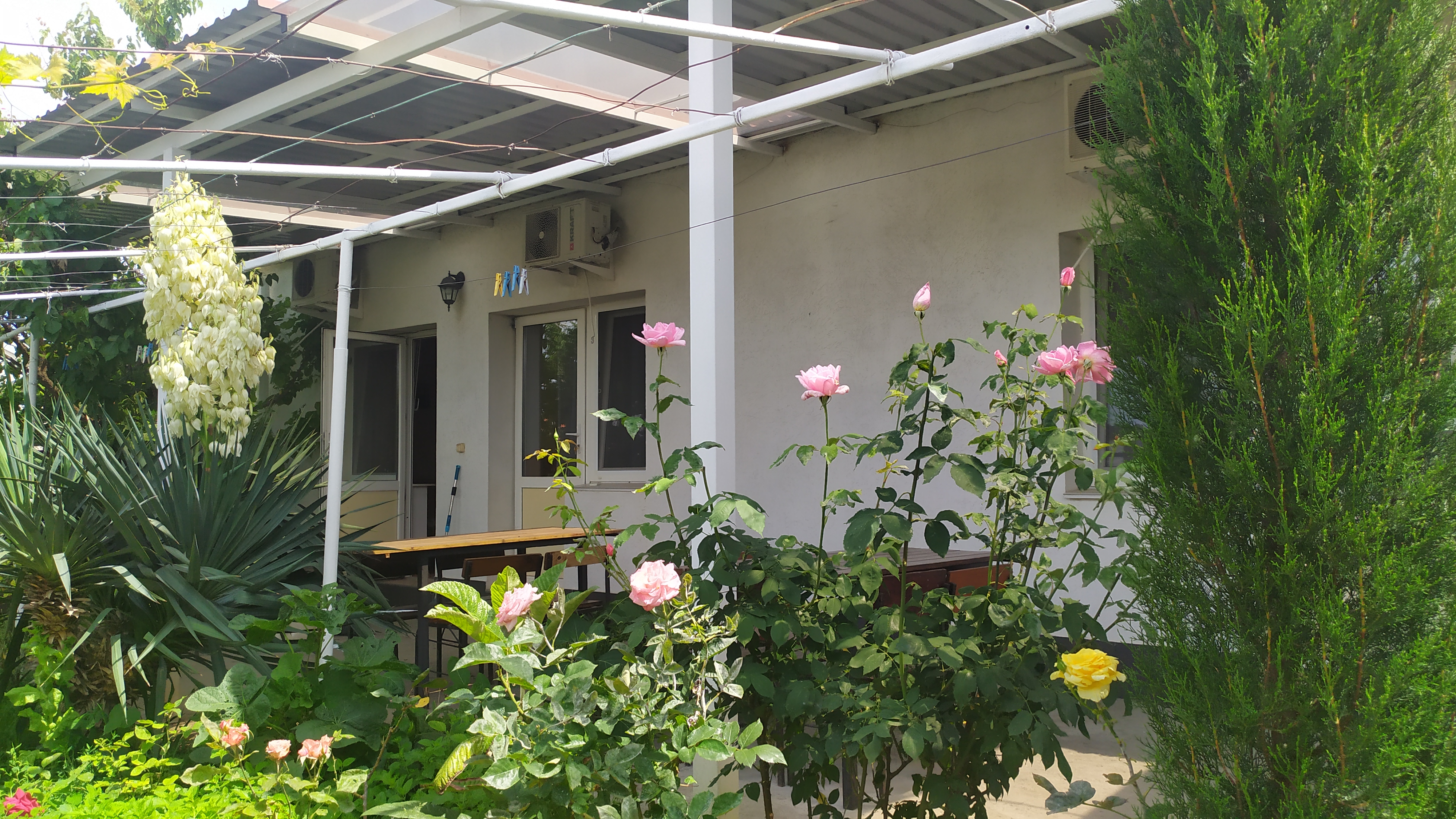 Фото Ребекка