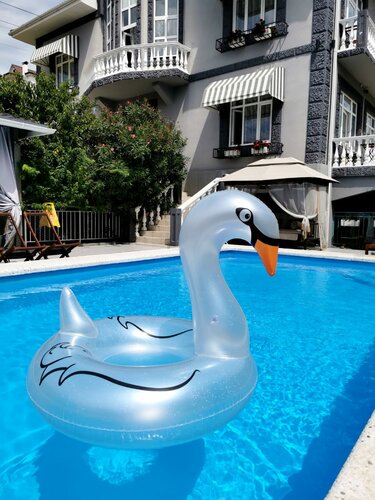 Внешний вид отеля Серый гусь в Сочах, фото 4