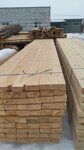 Транслес (Bryansk Region, Worker Settlement of Navlya), logging, timber sales