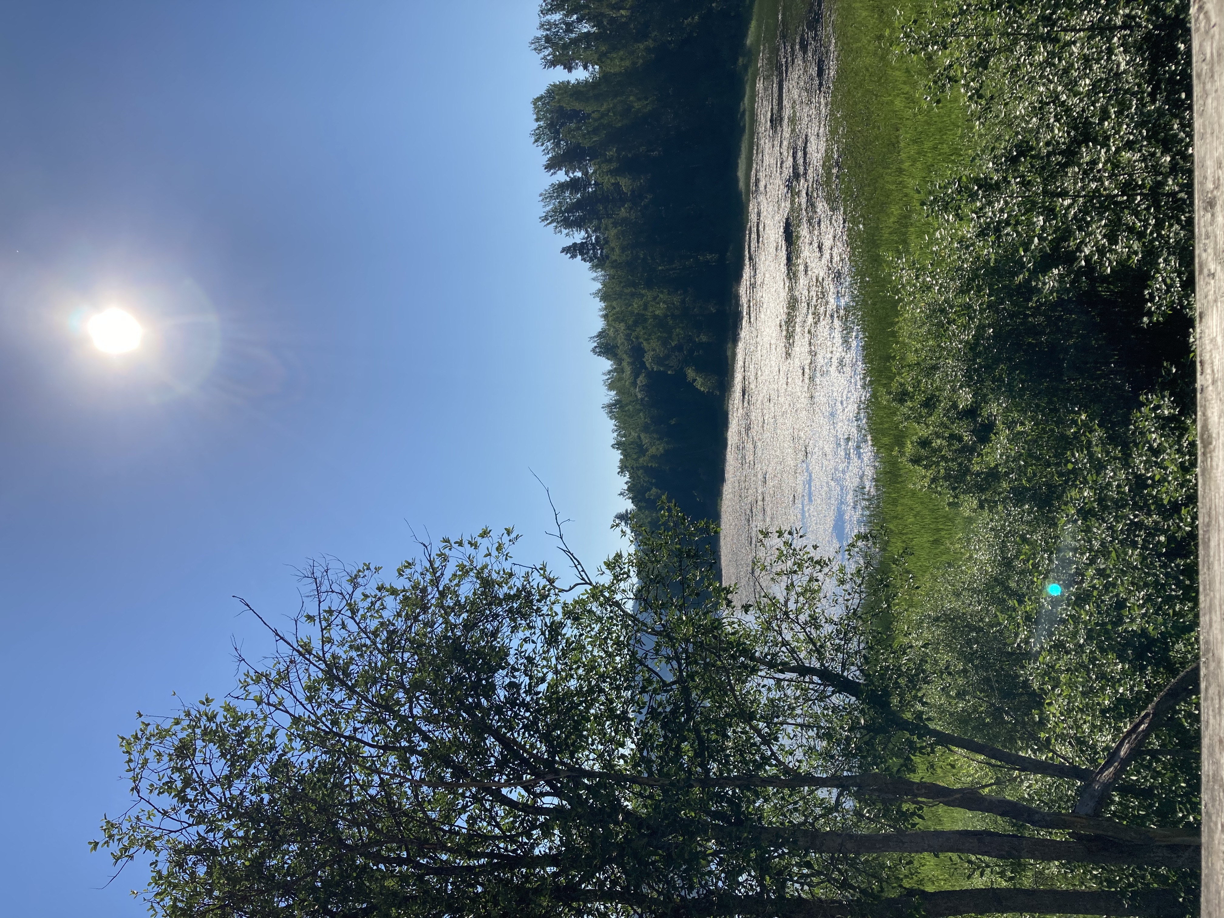 Фото Дивное