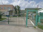 Kindergarten № 331 (Tul`skaya Street, 270/6) ، مركز الرعاية النهارية، رياض الأطفال