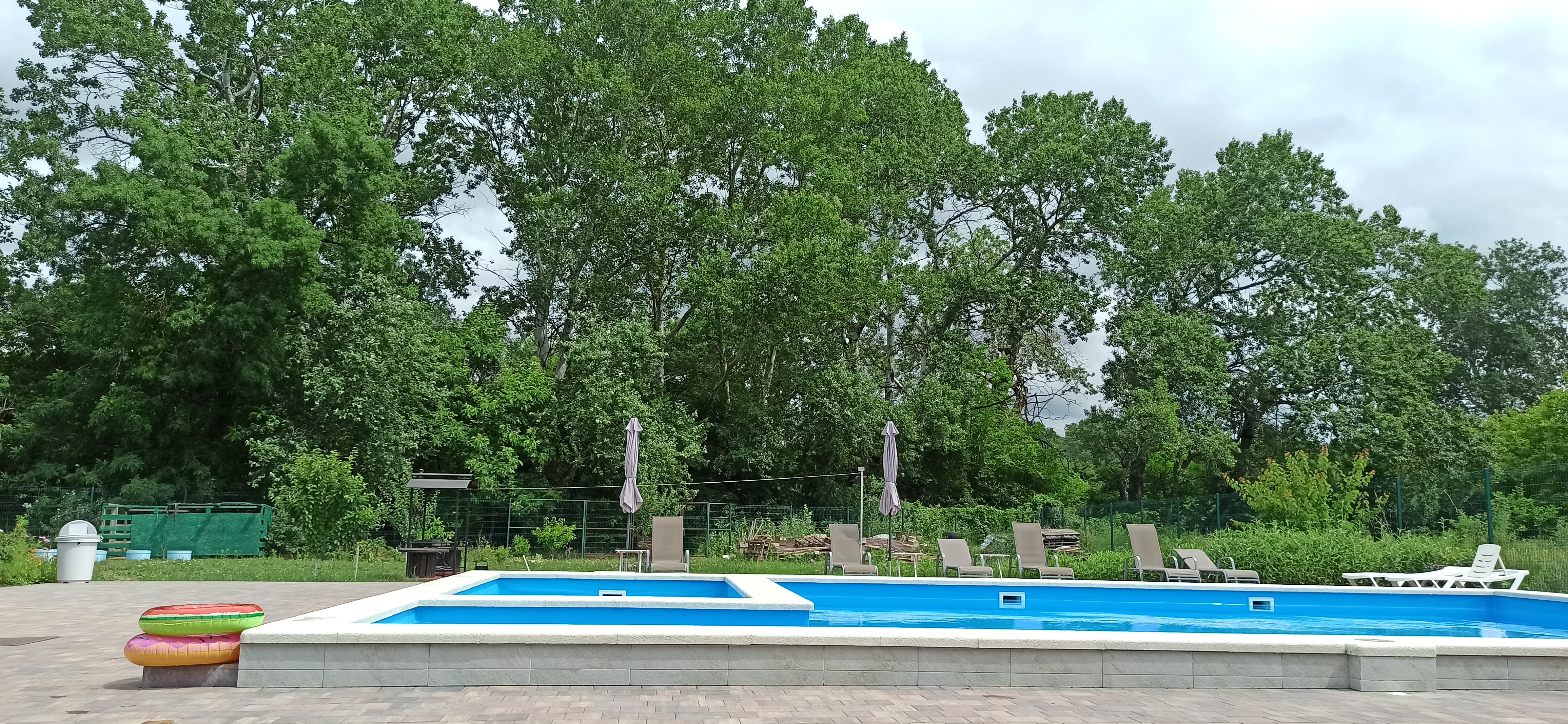 Фото Кипарис