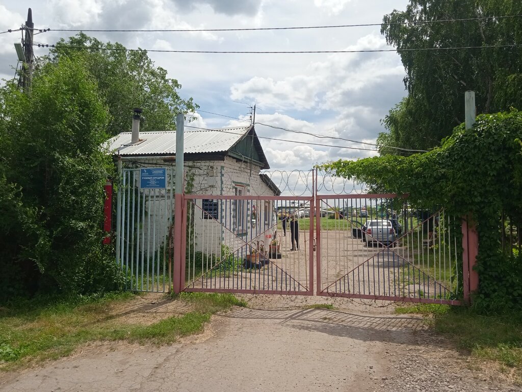 Education infrastructure Учебный аэродром Самарского университета имени академика С. П. Королёва, Samara, photo