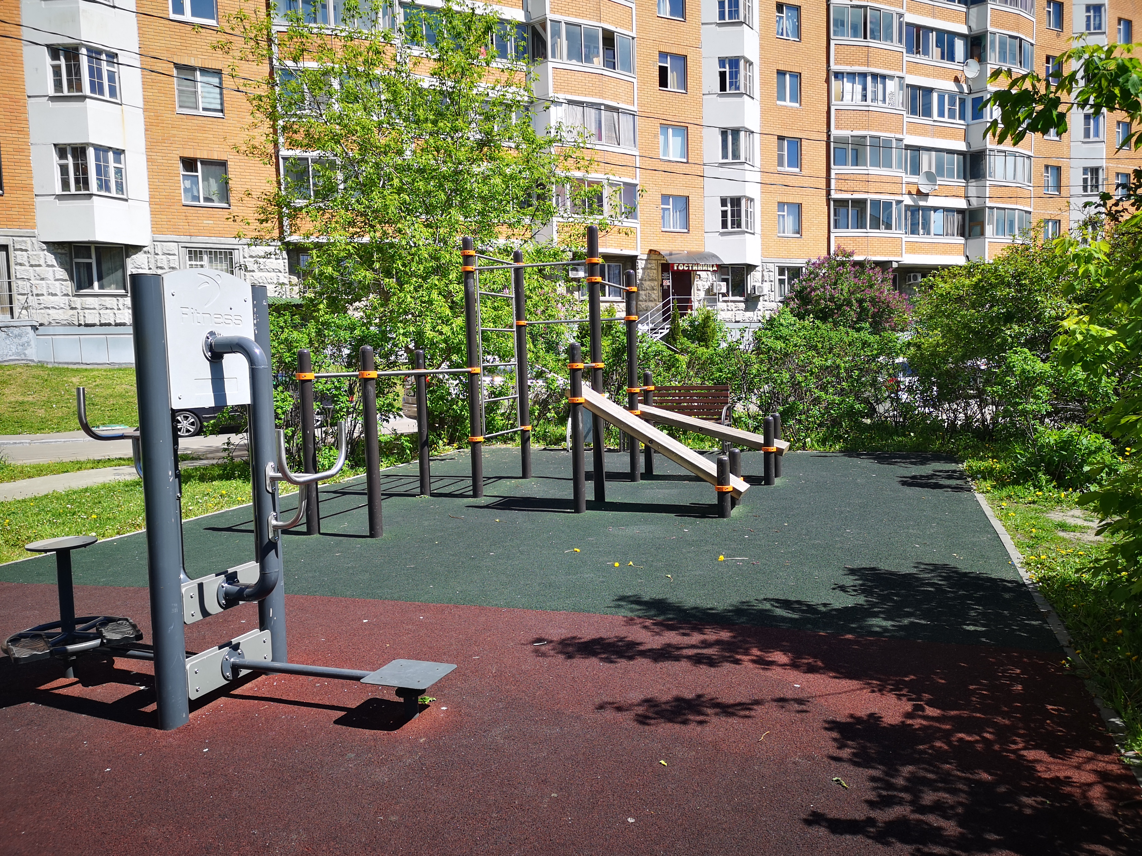 Фото Александрия