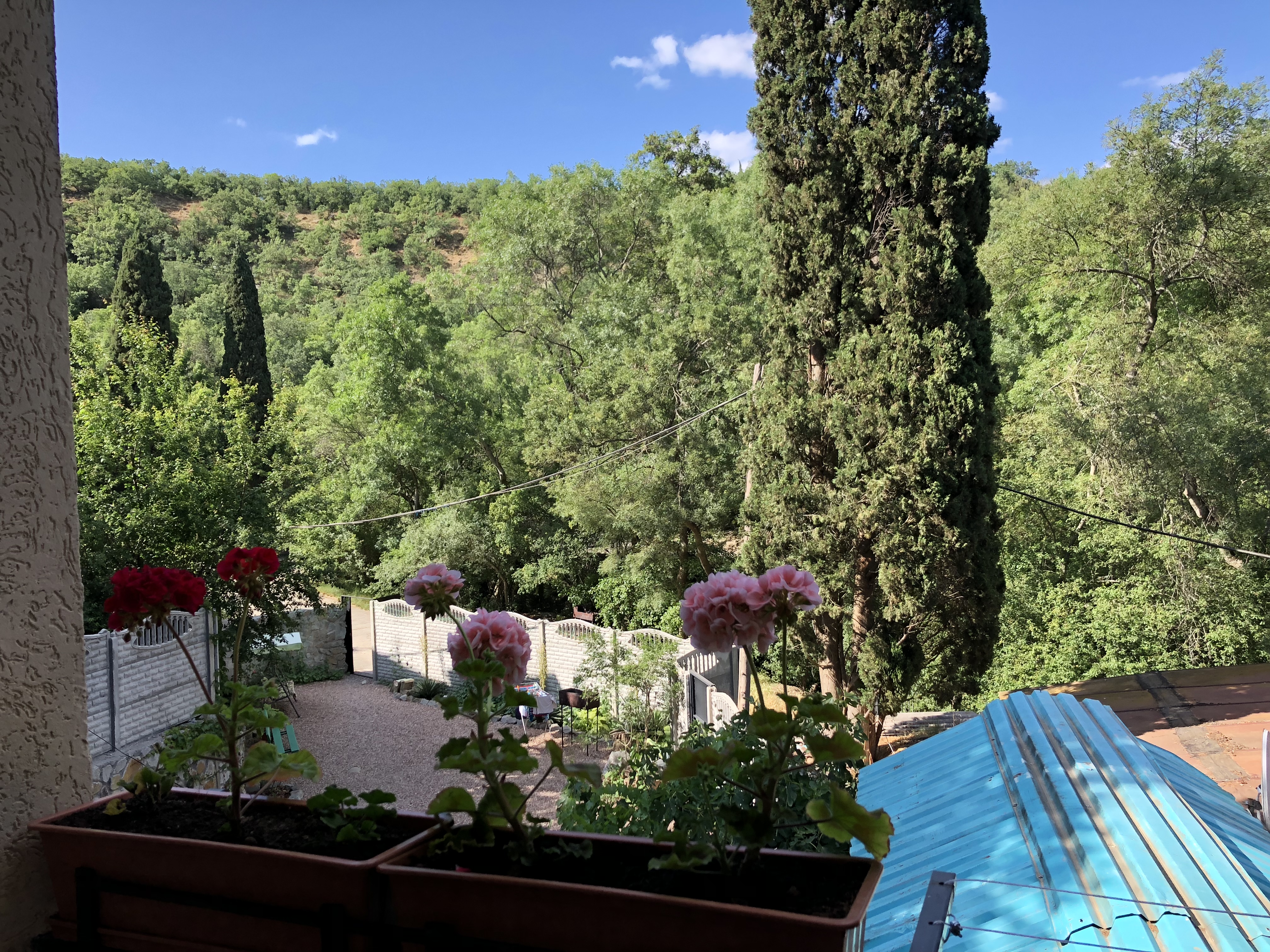 Фото Феерия