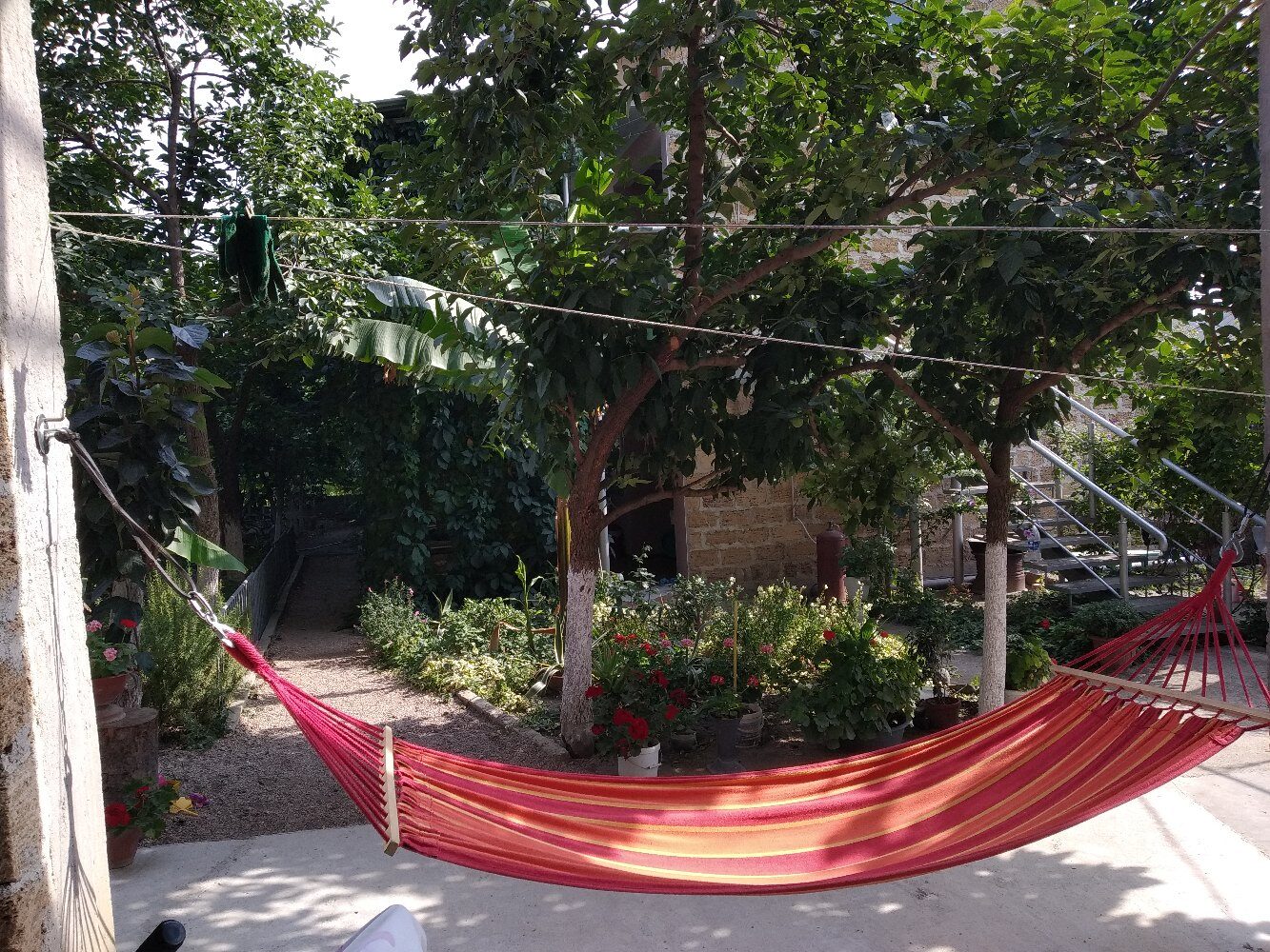 Фото Йылдыз