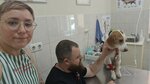 Ветеринарная клиника (ул. Тельмана, 102), ветеринарная клиника в Ростове‑на‑Дону