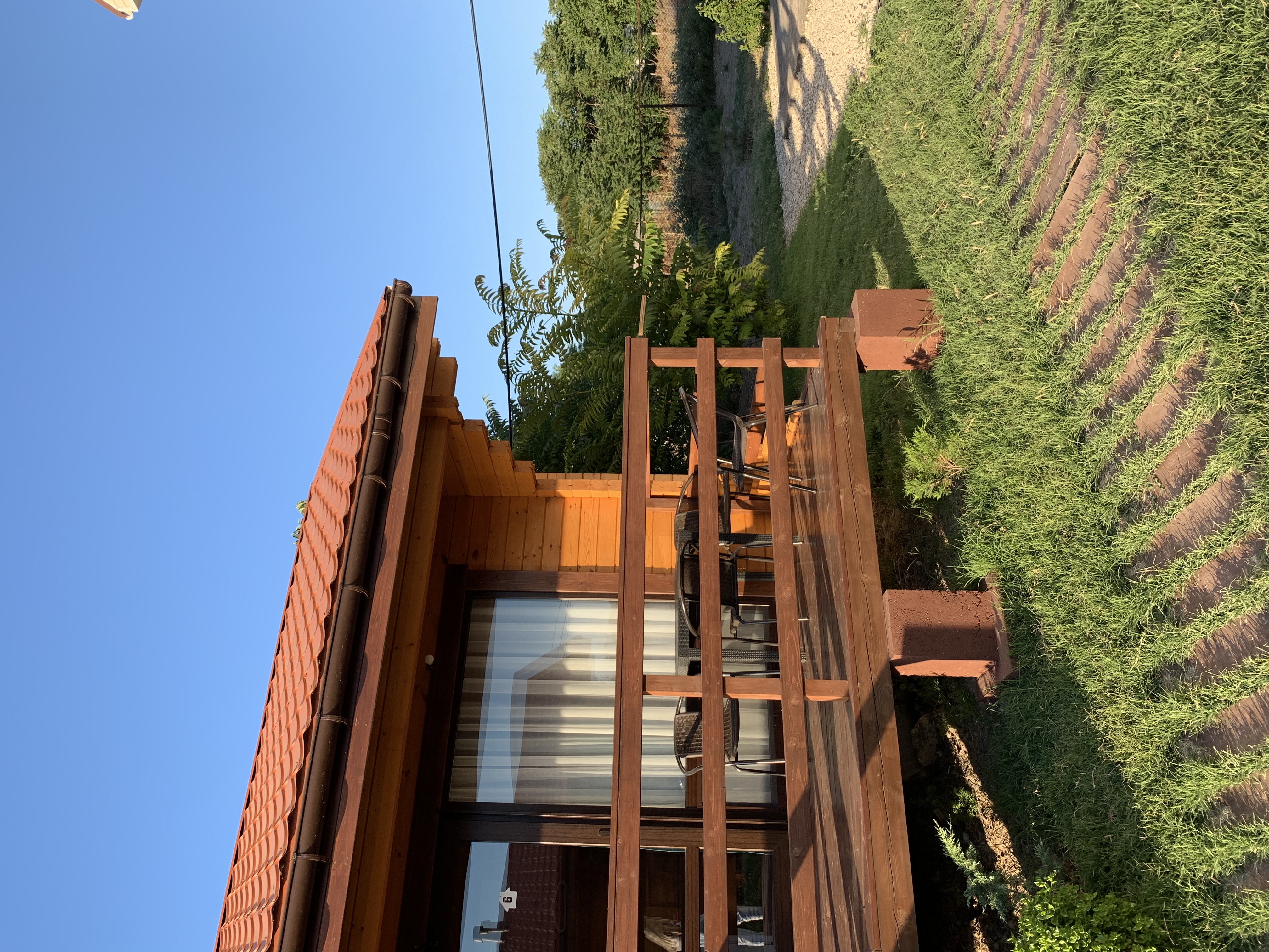 Фото Кактус