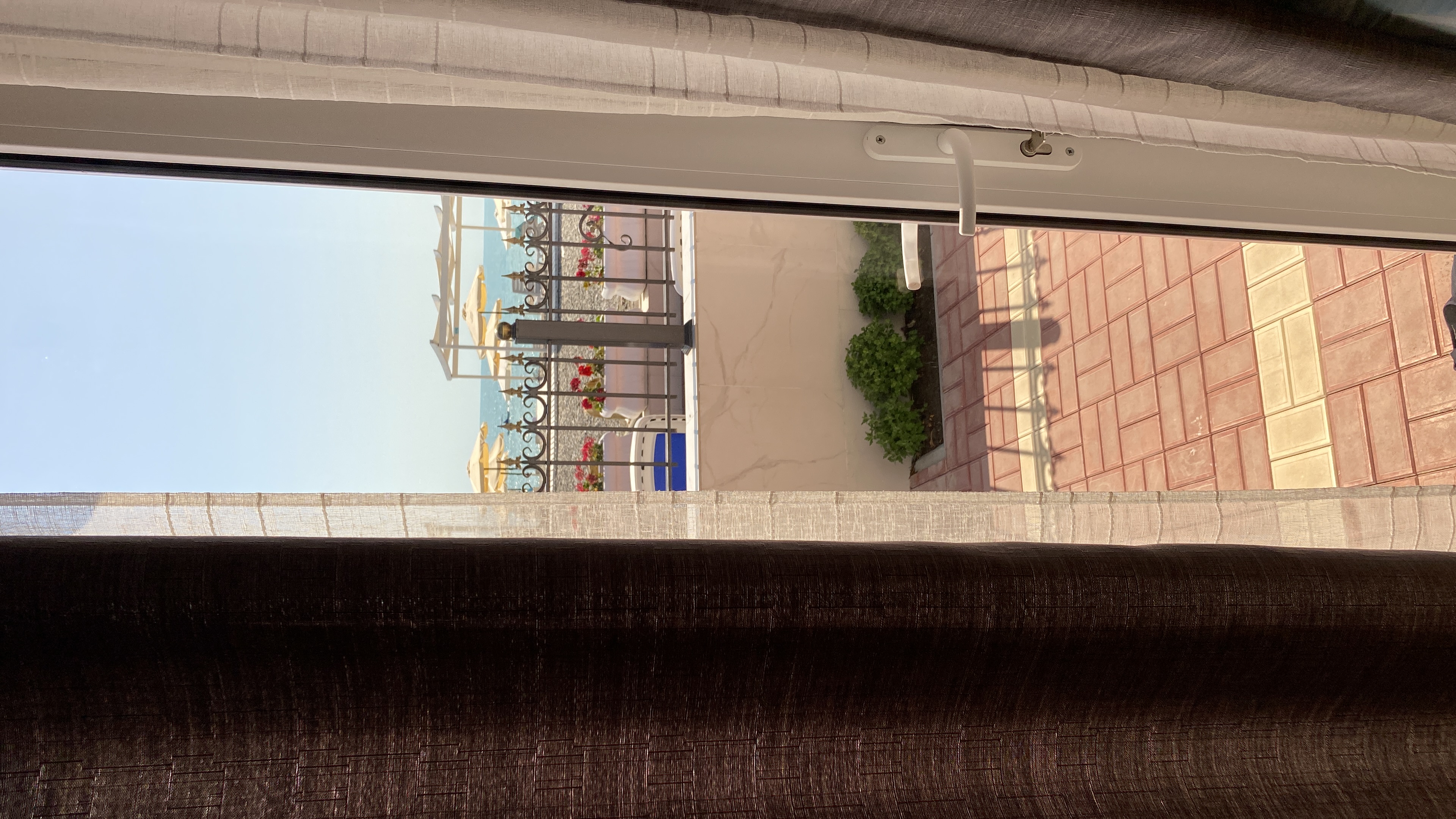 Фото Черный кот