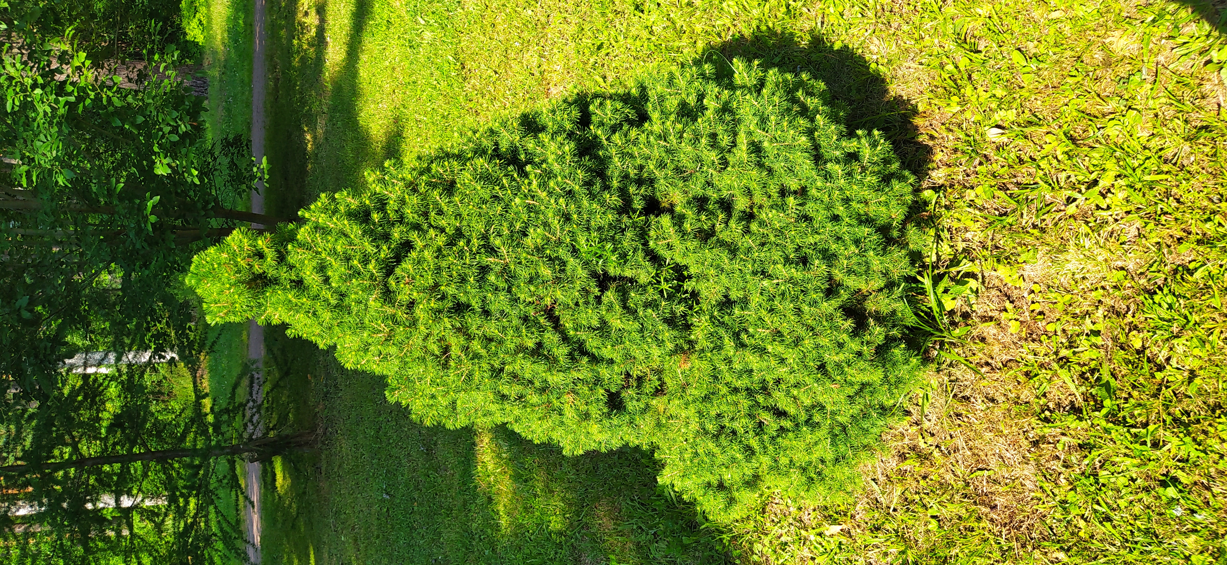 Фото Дом творчества Архитектор