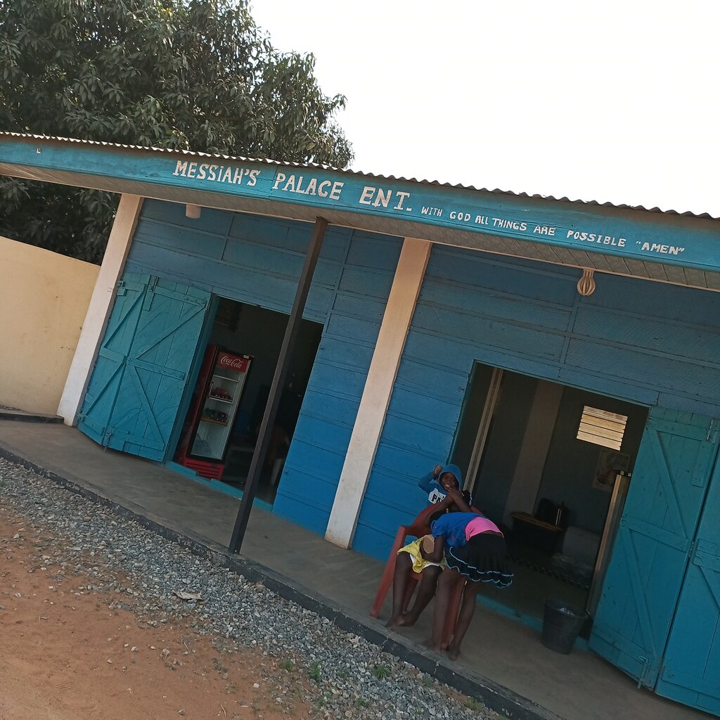 Wholesale store Messiah's palace Enterprise, Earth, photo