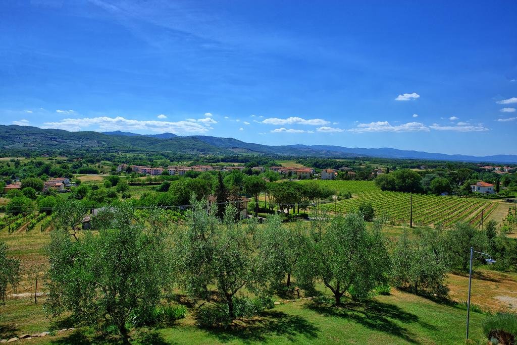 Фото Villa Leopoldina