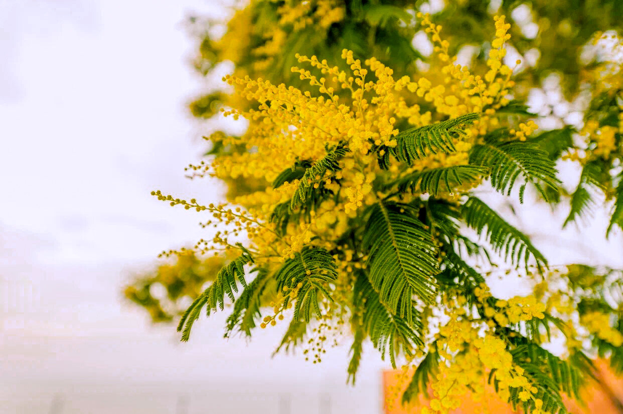 Фото На волне