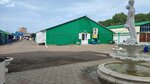 Meleuzovsky tsentralny rynok (ulitsa Chernyshevskogo, 7), market