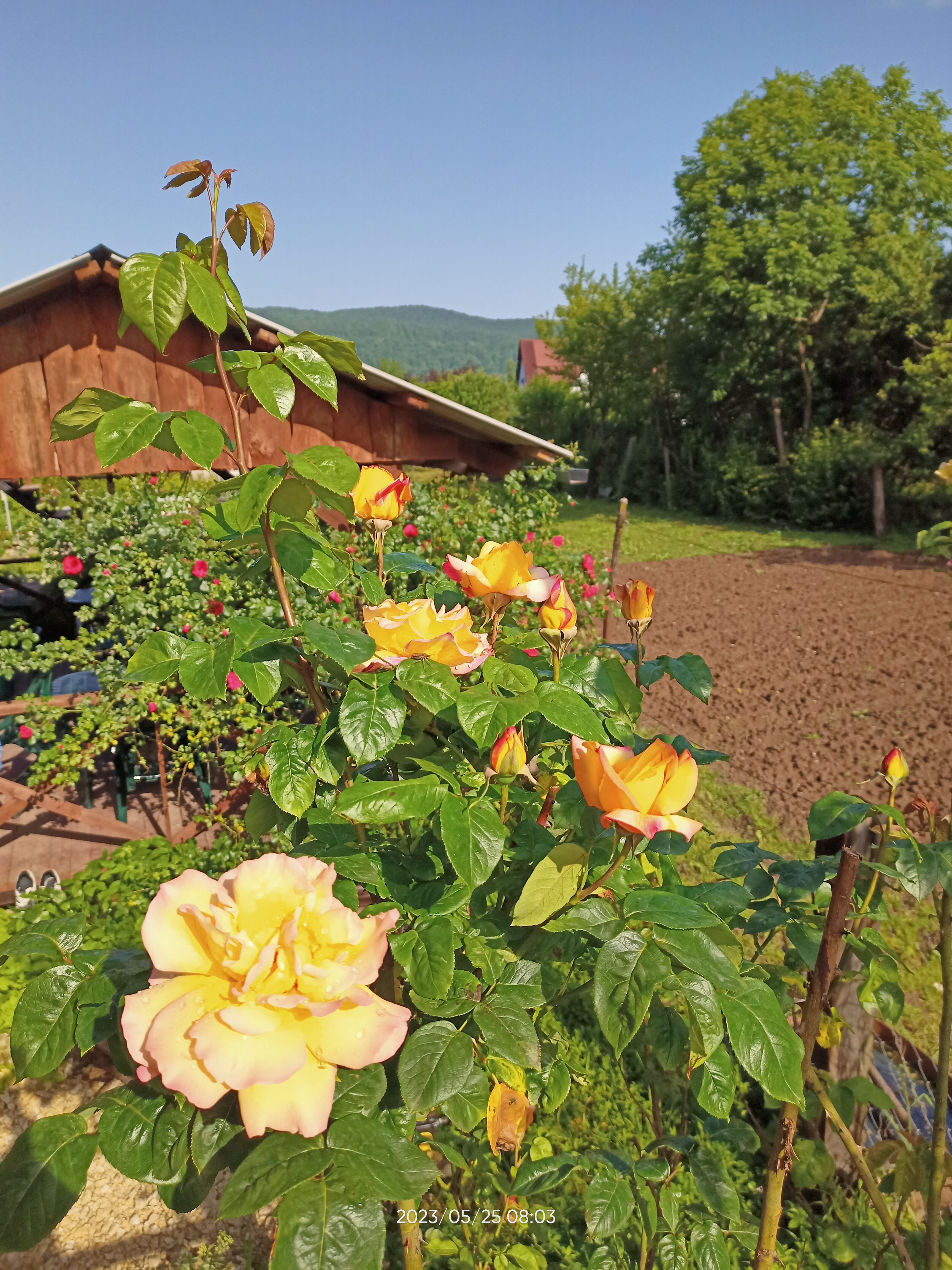 Фото Солнечная горка