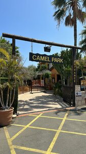 Camel Park (Larnaca District, Mazotos), zoo