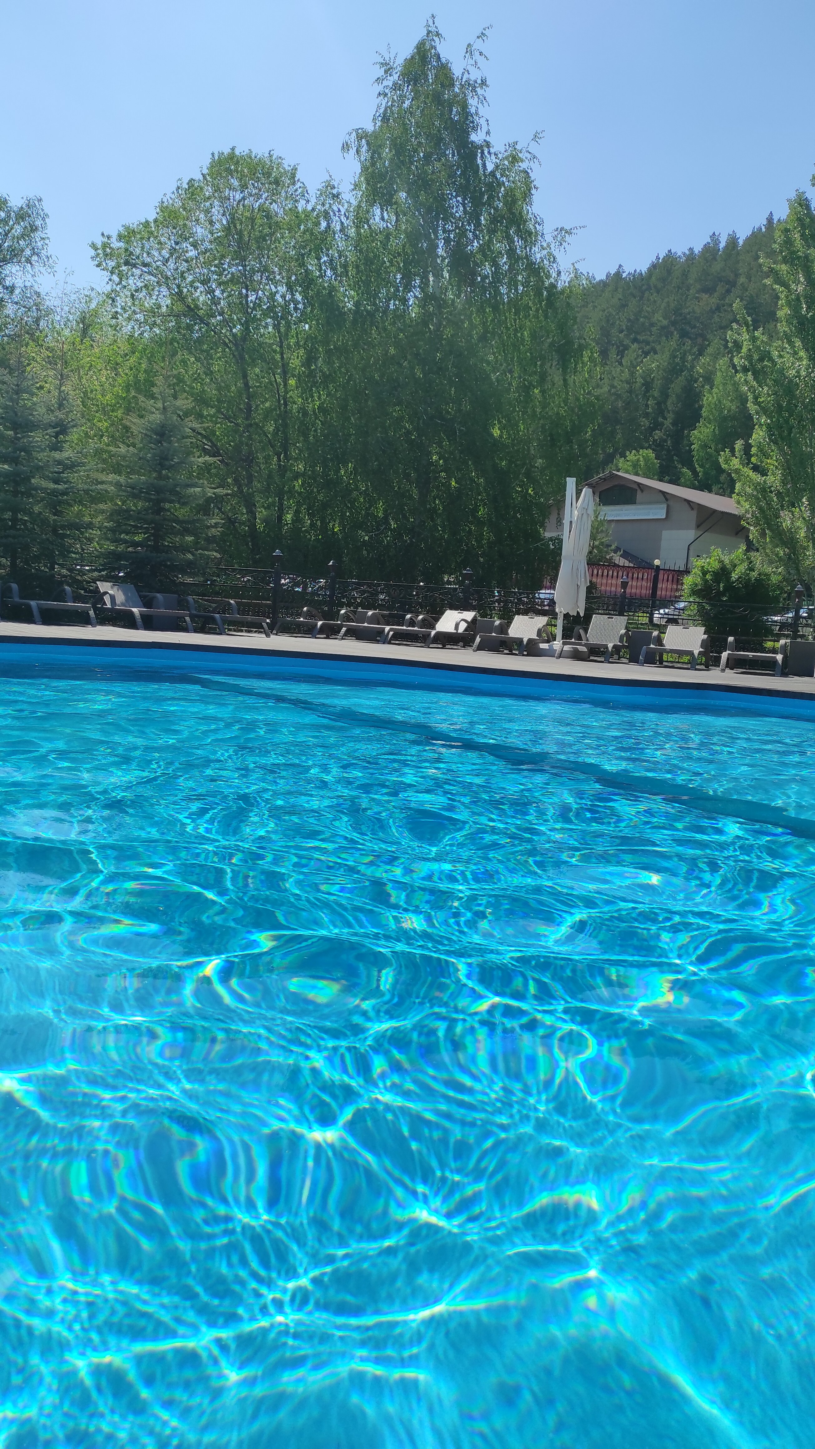 Фото Аврора