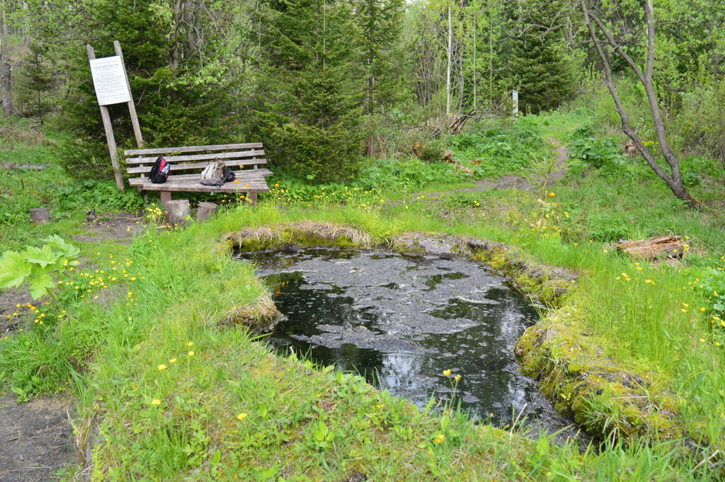 Spring, stream Talovskiye chashi, Tomsk District, photo