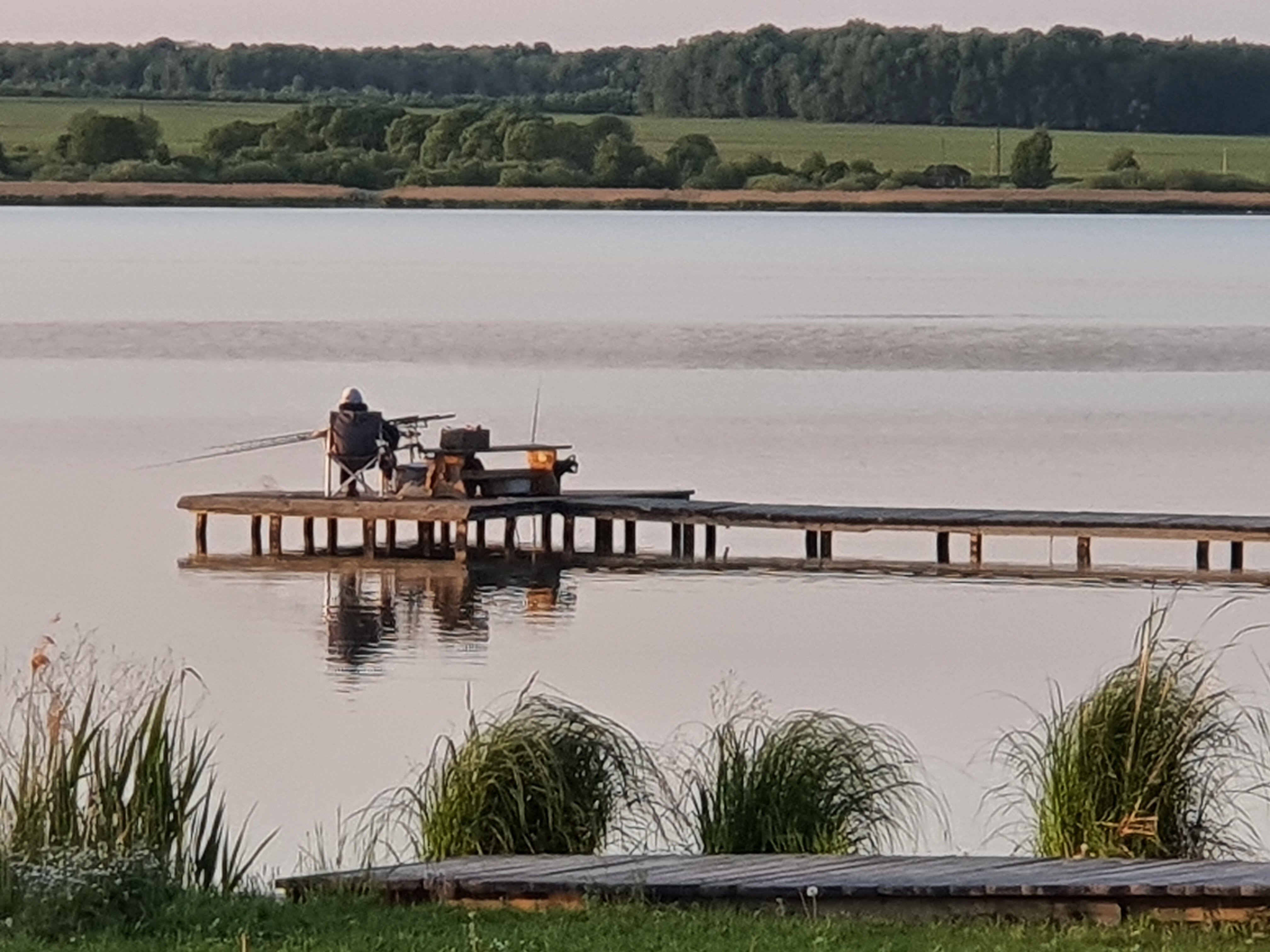 Фото Белая цапля