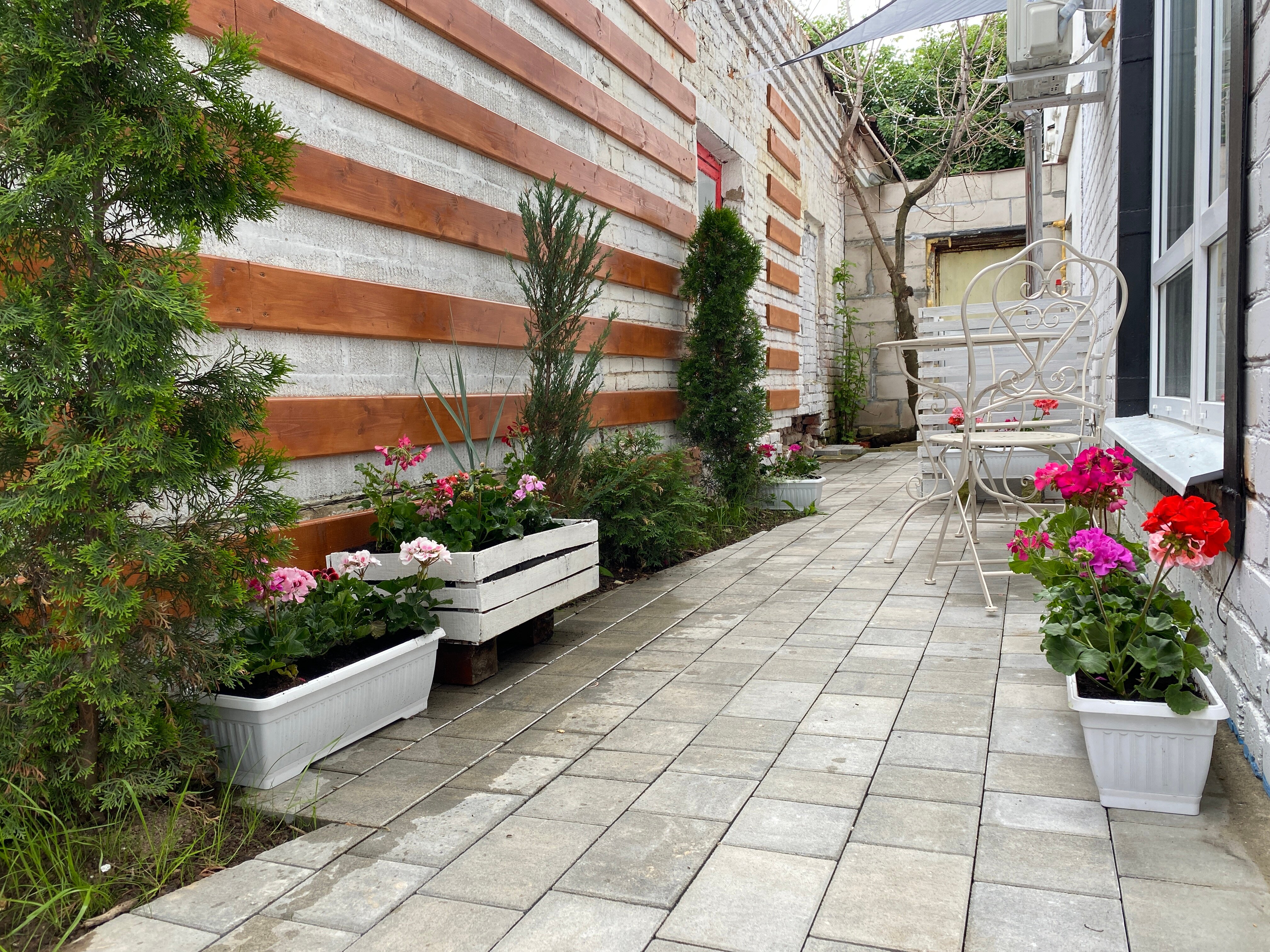 Фото Онегин