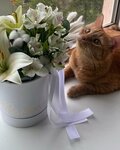 Kto Podaril? (Sklyarenko Street, 8), flowers and bouquets delivery