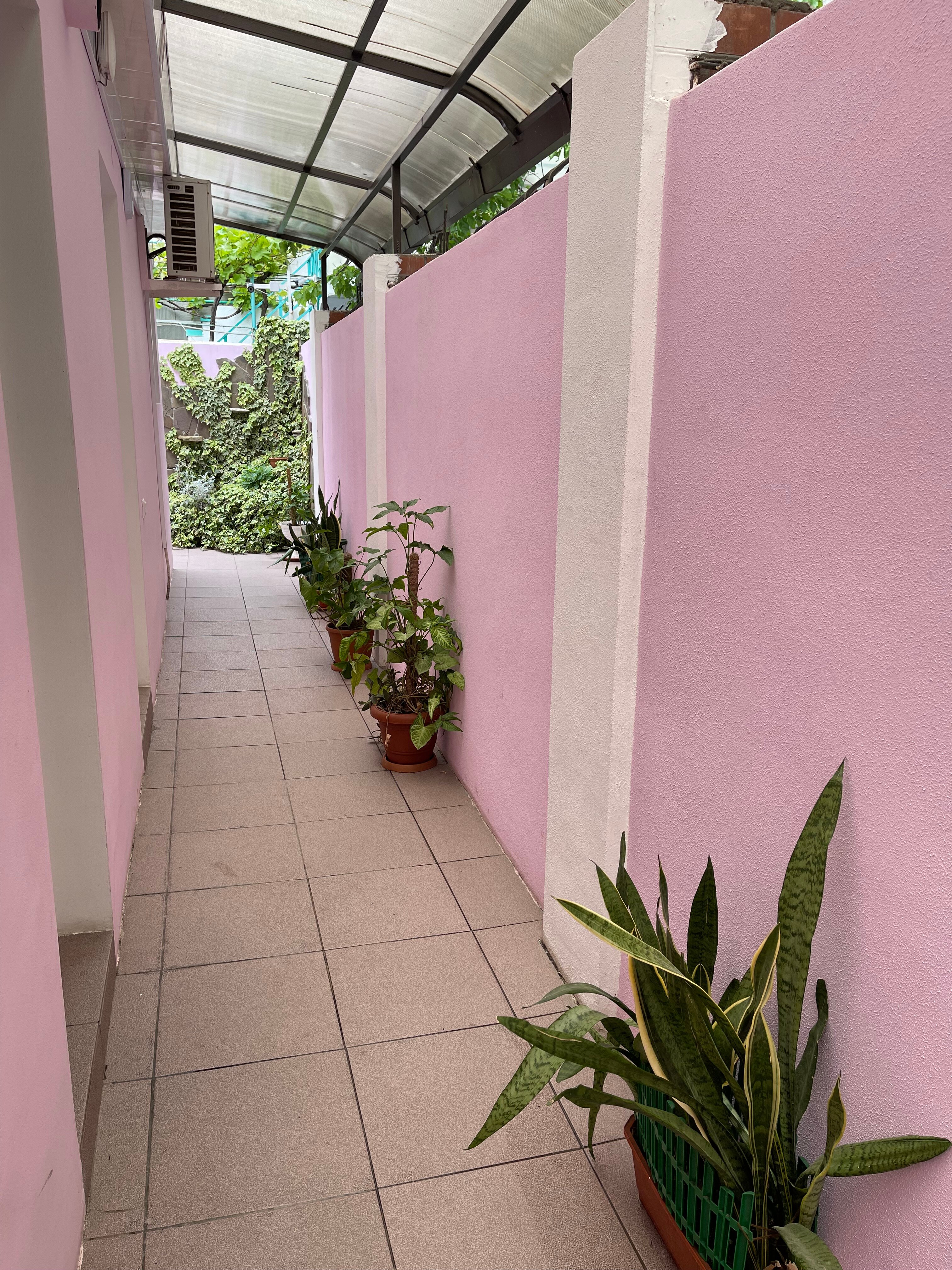 Фото Морская звезда